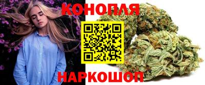 твердый Бердск