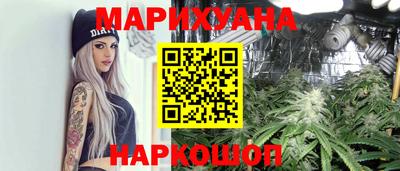 твердый Бердск
