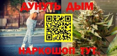 твердый Бердск