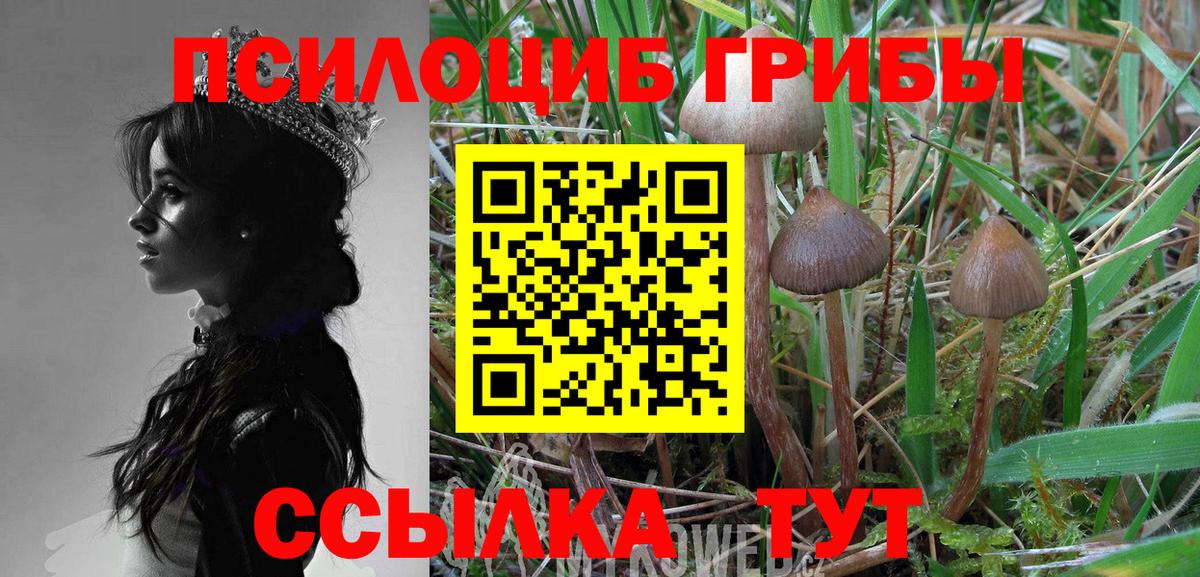 Псилоцибиновые грибы Psilocybe  Вход с VPN  Ивантеевка  Галлюциногенные грибы Psilocybe 